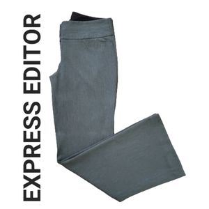 EXPRESS Editor Grey Pants/Slacks 6R